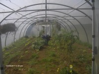 /album/estufa-da-ebs-tomas-de-borba/imagem-047-jpg/